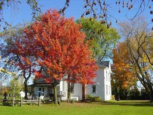 La Maison Des Leclerc Trois-Rivières Exterior foto